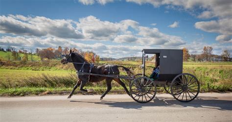 The Amish Transportation System in Holmes County: A World Without Cars
